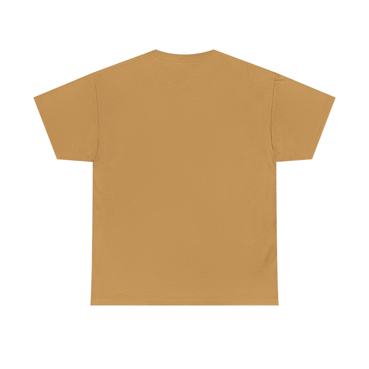 Rocky Mountains T-Shirt - Dumb But Trendy