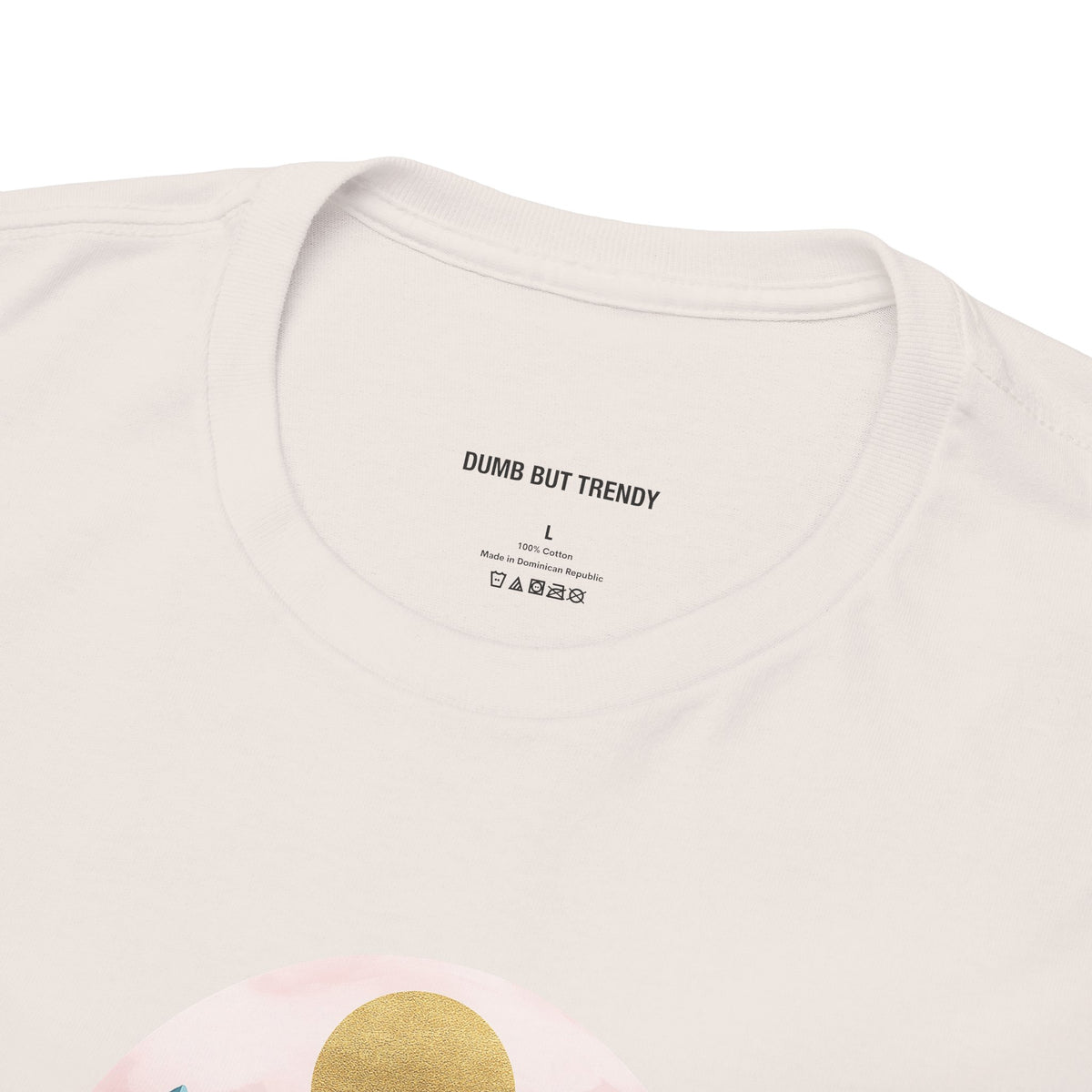 Rocky Mountains T-Shirt - Dumb But Trendy
