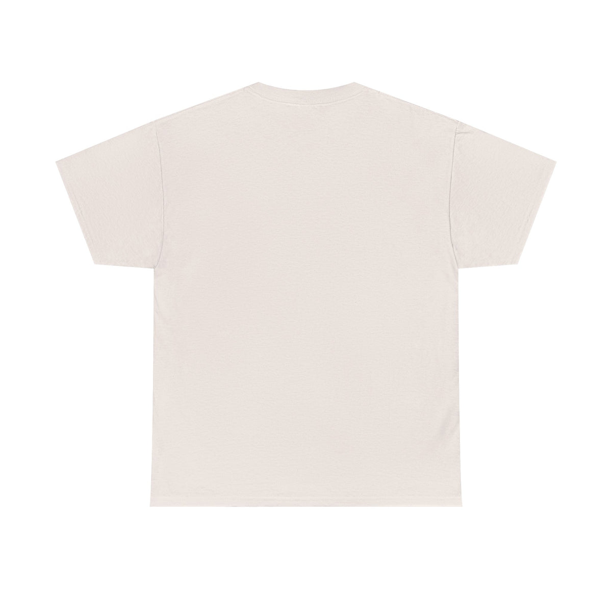 Rocky Mountains T-Shirt - Dumb But Trendy