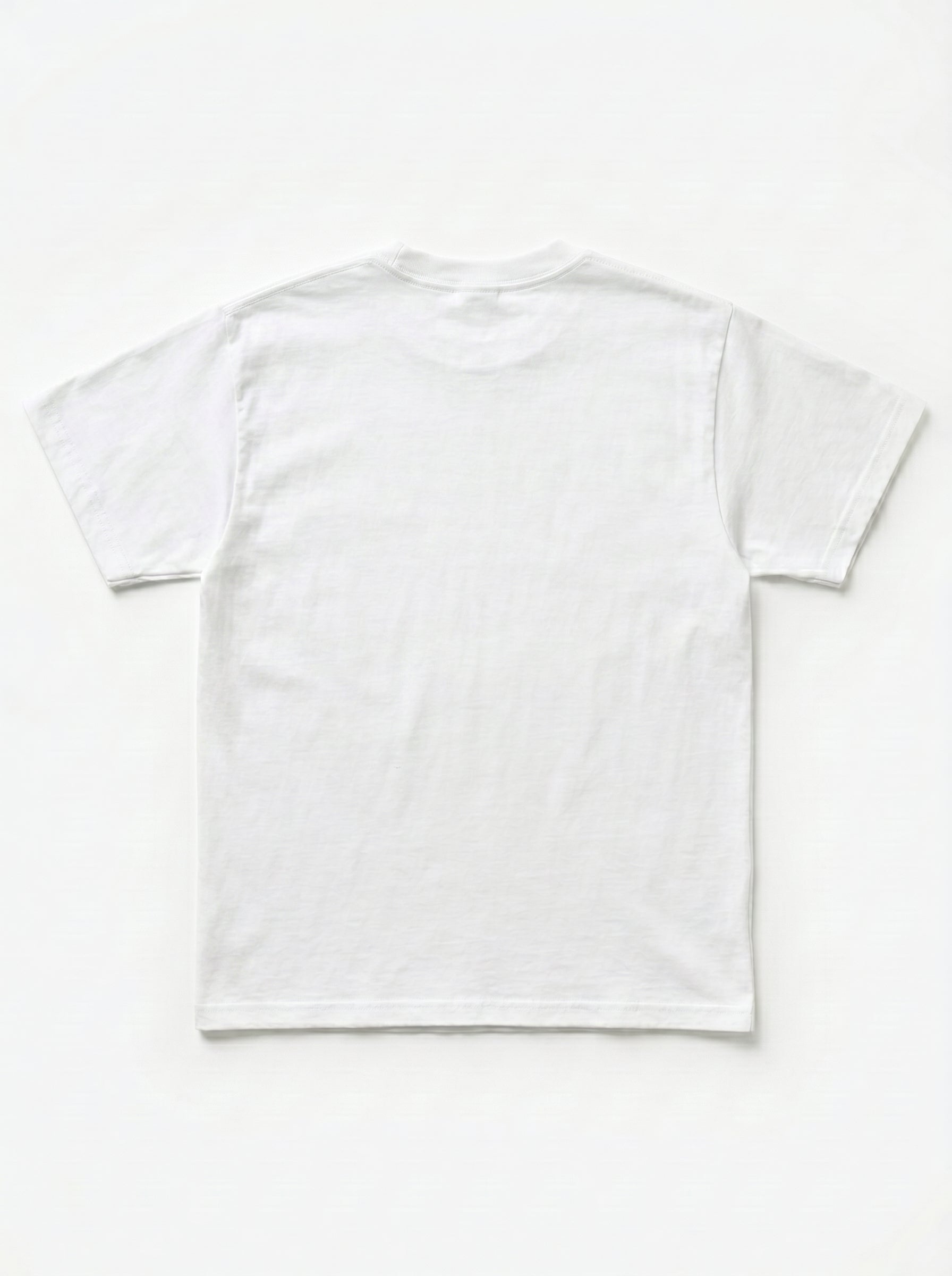 WHY Minimalist Statement Tee