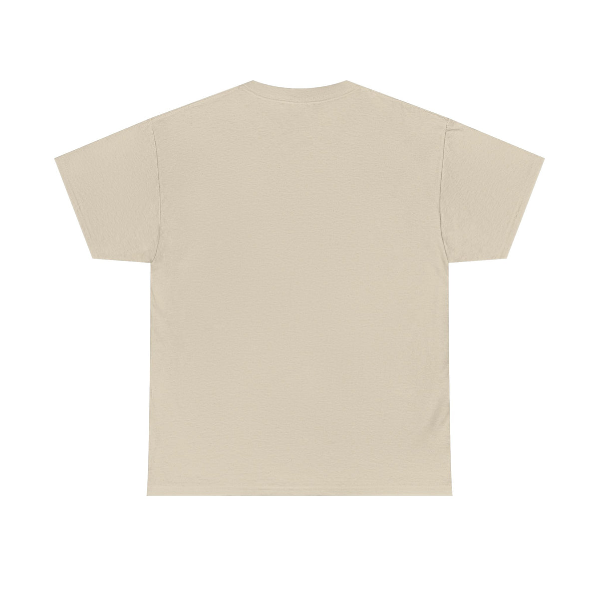 Rocky Mountains T-Shirt - Dumb But Trendy