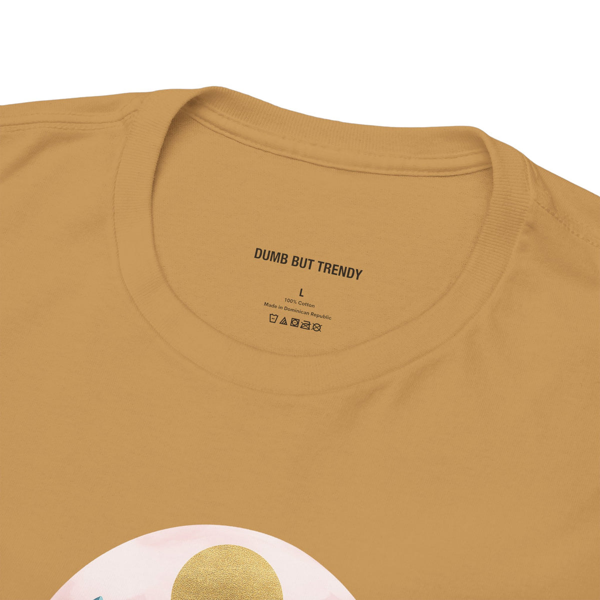 Rocky Mountains T-Shirt - Dumb But Trendy