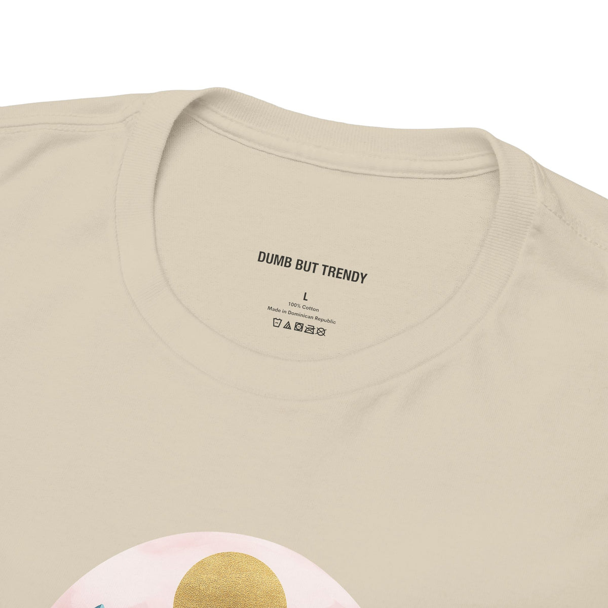 Rocky Mountains T-Shirt - Dumb But Trendy