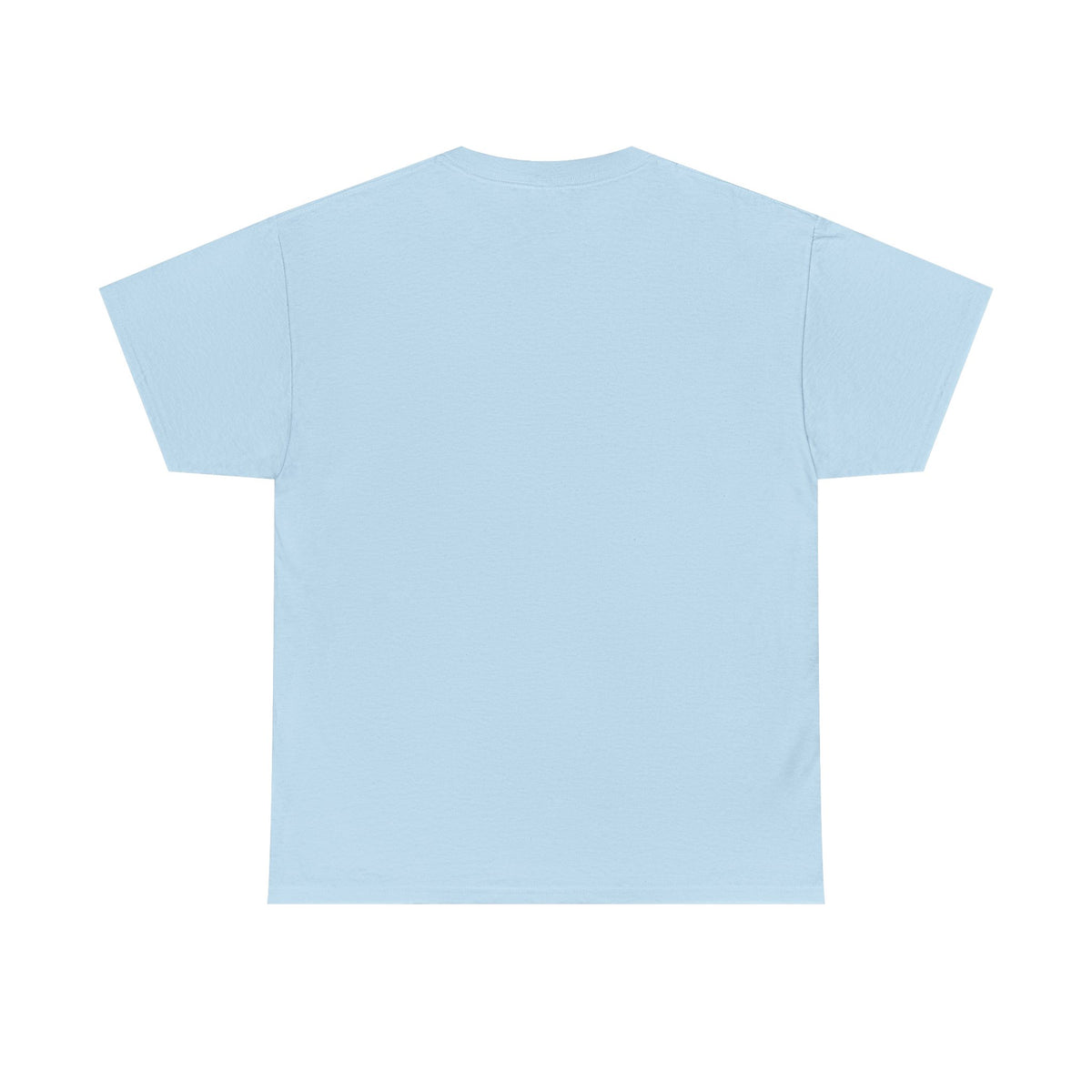 Rocky Mountains T-Shirt - Dumb But Trendy