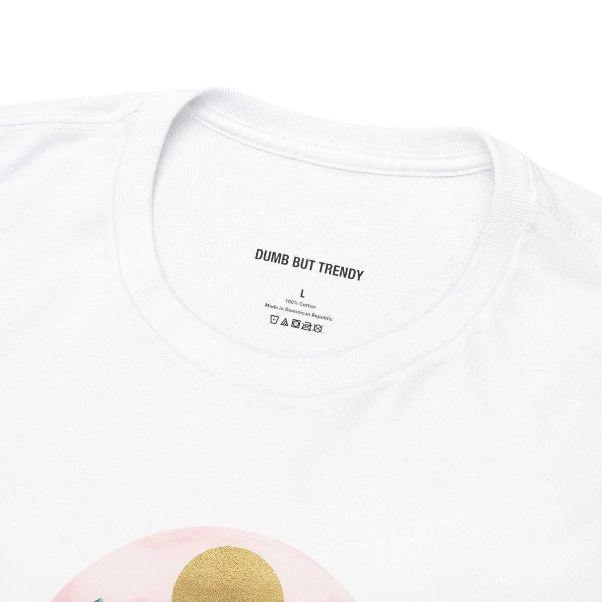 Rocky Mountains T-Shirt - Dumb But Trendy