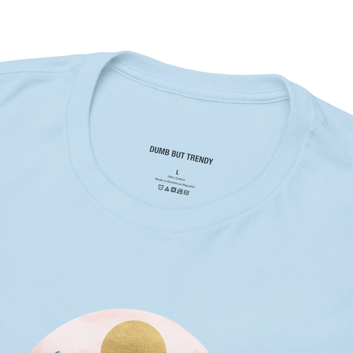 Rocky Mountains T-Shirt - Dumb But Trendy